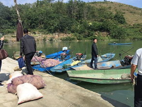 貴州安順市畜牧獸醫(yī)局開(kāi)展?jié)O業(yè)船舶安全生產(chǎn)隱患大檢查 筑牢畜牧漁業(yè)飼料銷售安全防線