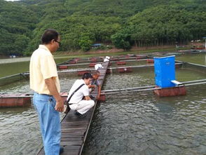 科技賦能促發(fā)展 云南省淡水漁業(yè)產(chǎn)業(yè)體系營(yíng)養(yǎng)與飼料崗位團(tuán)隊(duì)赴墨江專題調(diào)研